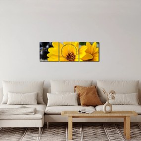Obraz żółtego kwiatu (z zegarem) (90x30 cm)