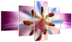 Obraz - Kwiat tulipana w szczegółach (125x70 cm)
