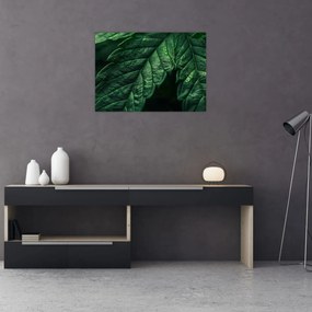Obraz - Szczegół arkusza (70x50 cm)