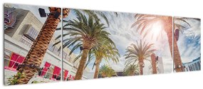 Obraz - palmy z basenem (170x50 cm)