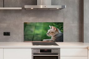 Panel Szklany Hipnotyzujące Spojrzenie Pupila