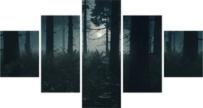 Obraz - Paproć w świetle księżyca (125x70 cm)