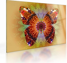 Obraz na szkle - Etno motyl (70x50 cm)