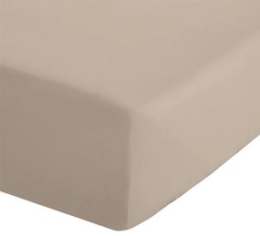 Jasnobrązowe prześcieradło z perkalu z gumką 135x190 cm Easy Iron Percale – Catherine Lansfield