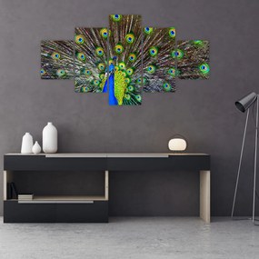 Obraz - Paw (125x70 cm)