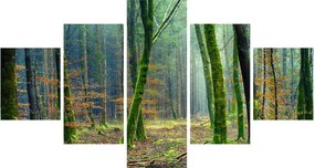 Obraz lasu (125x70 cm)