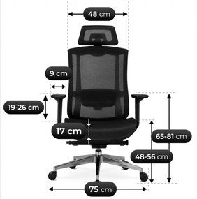 Fotel Biurowy Ergonomiczny Obrotowy DYLAN Czarny