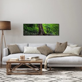 Obraz - Stare drzewo z korzeniami (z zegarem) (90x30 cm)