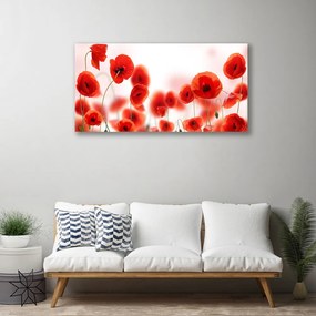 Obraz canvas na ścianę Czerwone Maki w Polu