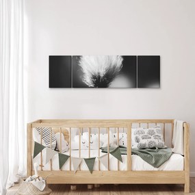 Obraz - Czarno-biała trawa bawełniana (170x50 cm)
