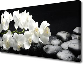 Obraz na płótnie Kwiat Lotosu i Kamienie Spa