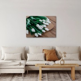 Obraz bukietu białych tulipanów (70x50 cm)