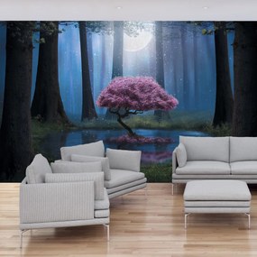 Fototapeta - Magiczna noc (196x136 cm)