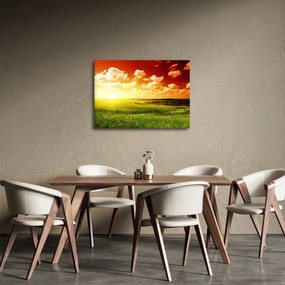 Obraz letniej łąki (70x50 cm)