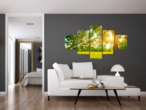 Obraz - Słoneczny Las (125x70 cm)