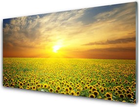 Panel Szklany Słoneczniki Na Słonecznej Polanie