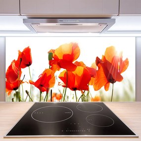 Szkło Ozdobne do Kuchni Krwistoczerwone Maki na Polu