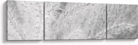 Obraz - Trawa pampasowa N⁰1 (170x50 cm)