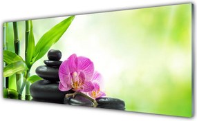 Szkło Ozdobne do Kuchni Graficzny Motyw Bambusa