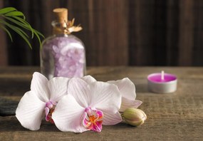 Fototapeta - Orchidee i spa (196x136 cm)