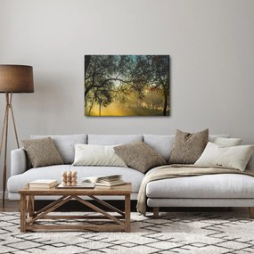 Obraz wschodu słońca (70x50 cm)