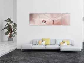 Obraz - Kropla rosy (170x50 cm)