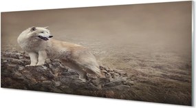 Panel Szklany Wilk na Górskim Szlaku