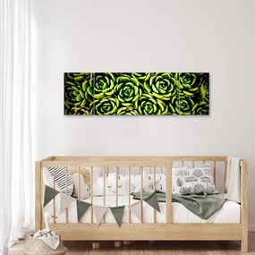 Obraz bez grzywki (170x50 cm)