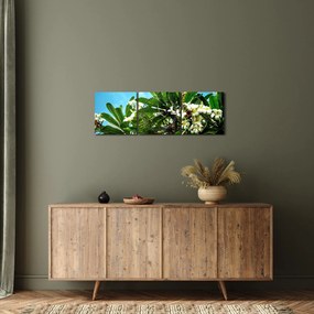 Obraz - Plumeria (z zegarem) (90x30 cm)