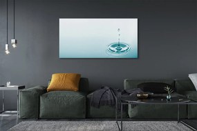 Duży obraz na płótnie Kropla Wody w Makrofotografii