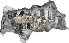 Dziura 3d fototapeta ścienna Naklejka Wilki zimą