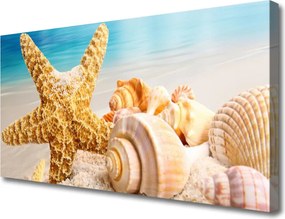 Obraz na płótnie Nadmorskie Skarby: Rozgwiazda