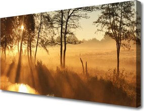 Obraz na płótnie Leśna Gęstwina Drzew