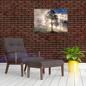 Obraz drzewa we mgle (70x50 cm)