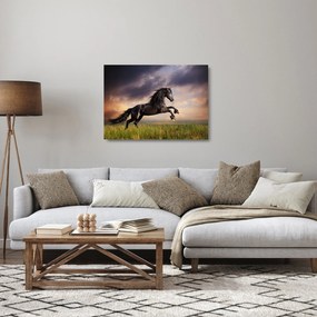 Obraz na szkle - Konie (70x50 cm)