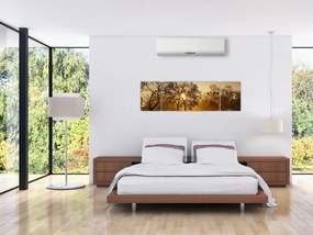 Obraz - Wschód słońca (170x50 cm)