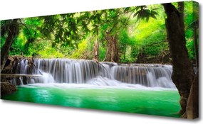 Obraz canvas Ukryty Wodospad w Gęstwinie