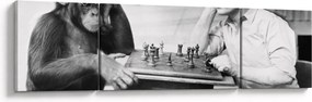 Obraz - Cyrk 2 (170x50 cm)