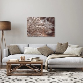 Obraz na szkle roślin (70x50 cm)
