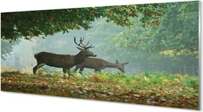 Panel nad Blat Kuchenny Jeleń w Jesiennej Aurze