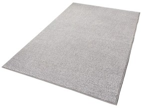 Jasnoszary dywan Hanse Home Pure, 160x240 cm