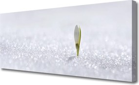 Zdjęcie na płótnie Kaskada nad Błękitną Zatoką