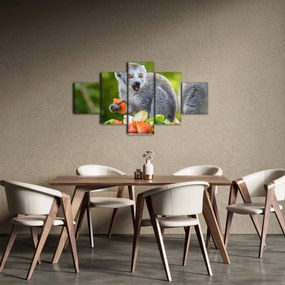 Obraz lemura (125x70 cm)