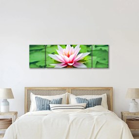 Obraz lilii wodnej na powierzchni (170x50 cm)