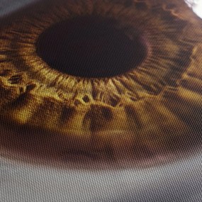 Obraz - Oko (170x50 cm)