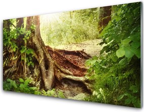 Panel Szklany Tekstura Pnia Drzewa w Lesie