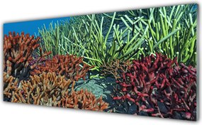 Panel Szklany Podwodne Życie Rafy