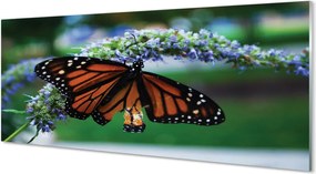 Panel Szklany Motyl Spijający Nektar