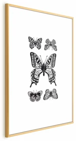 Plakat Pięć motyli 40x60 cm z ramą złotą z marginesem ARTGEIST B