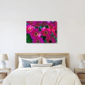 Obraz na szkle - kwiaty (70x50 cm)